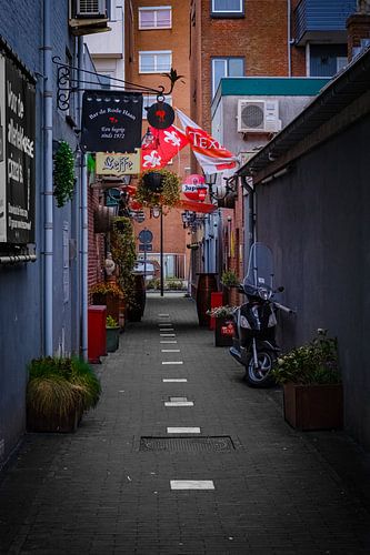 De rode haan