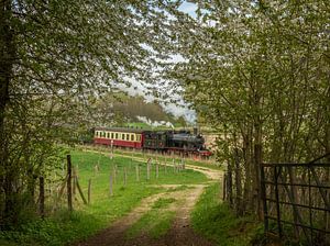 Stoomtrein bij vertrek van de Eyserhalte