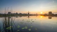 Molens aan het water bij Alkmaar van Robert van der Eng thumbnail