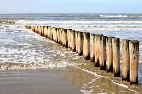 Signposts by Mark de Vries