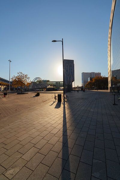 Halle de marché Rotterdam Blaak par Rob van der Teen