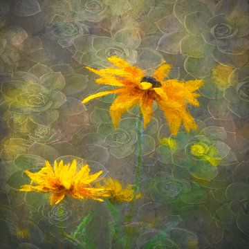 Bloemen in een wild veld van Francis Dost