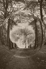 The Cat Crept In by Yvonne Smits