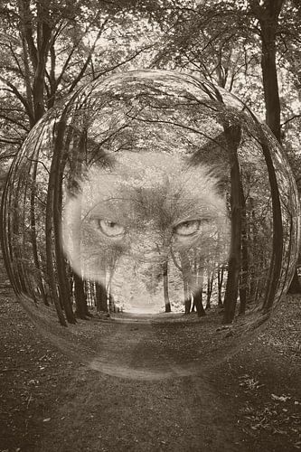 The Cat Crept In