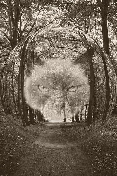 The Cat Crept In van Yvonne Smits
