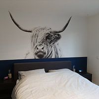 Klantfoto: portret van een hoogland koe van Dorit Fuhg, als naadloos behang
