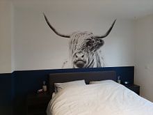 Kundenfoto: portrait of a highland cow von Dorit Fuhg, auf nahtloser fototapete