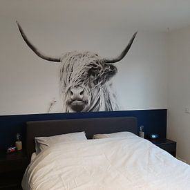 Kundenfoto: portrait of a highland cow von Dorit Fuhg