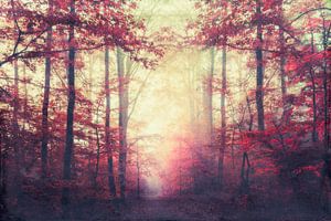 Magique sentier forestier d'automne par un matin de brouillard