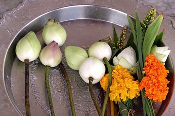 Bloemen in India van Gert-Jan Siesling
