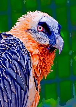 Bearded vulture van Leopold Brix