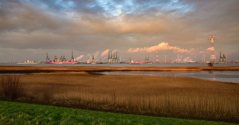 Doel, Belgium by Jarne Buttiens