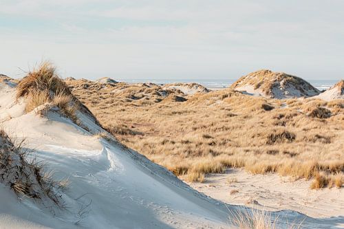 Duinlandschap met uitzicht op zee op Terschelling