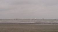 Voiliers à l'horizon. Côte belge.