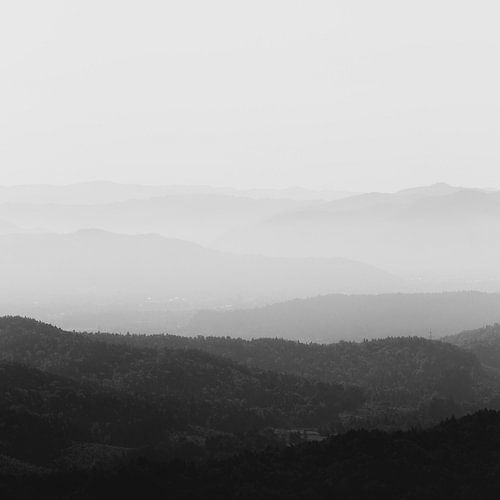 Zwart-witte mistige horizonlijnen