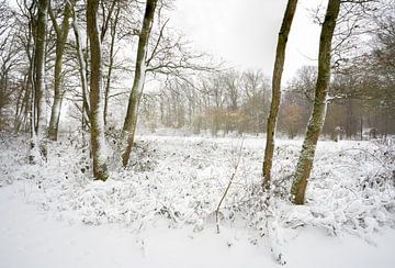 Winters landschap van John Goossens Photography