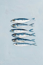 Rue des Sardines d'Argent sur Adalberto Sorrentino