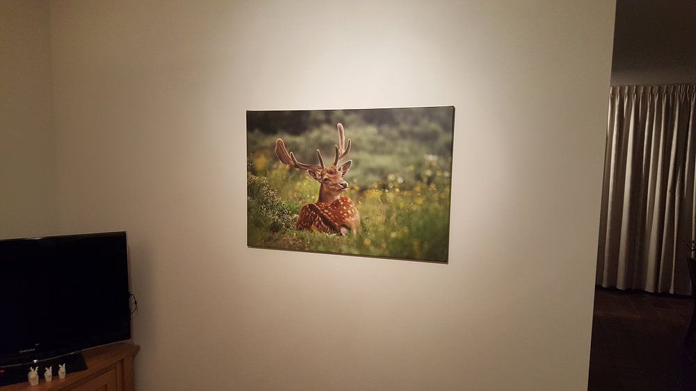 Damhert  van Mieke Geurts-Korsten 