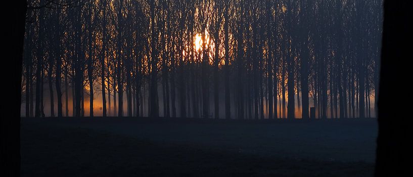 Vuur Mist van Wijnand Kroes