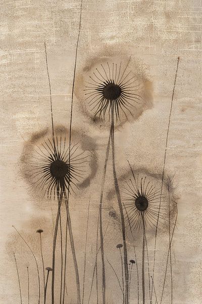 Dandelion by Modern Collection