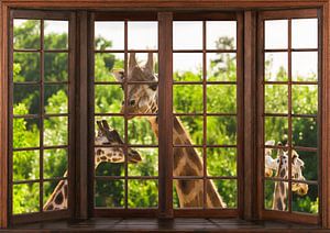 Blick aus einem Holzfenster von Bert Hooijer