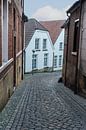 oud straatje in bad bentheim par ChrisWillemsen Aperçu