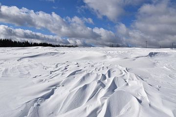 Het effect van wind op sneeuw van Claude Laprise