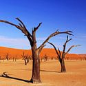 Afrika