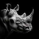 dramatic black and white portrait photo rendering of a rhino's head seen from the side by Margriet Hulsker thumbnail