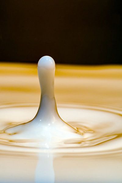 Only the milk makes it by Thomas Riess
