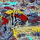 Color Kick Animal -Tiger4 van Angelika Möthrath thumbnail