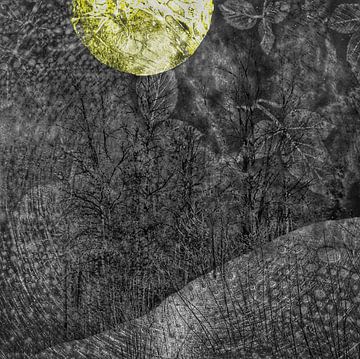 Gouden maan over het bos van Katinka Mars Kvale