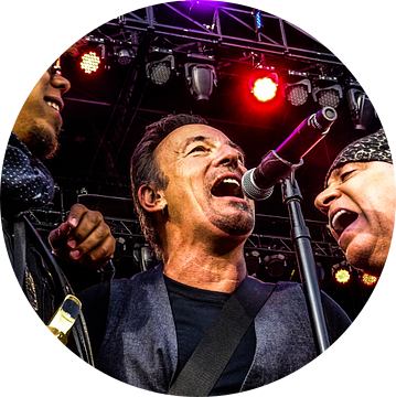 Bruce Springsteen & the E Street Band  van Shui Fan