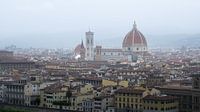 Florence overlook by Kevin van Deursen thumbnail