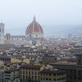 Florence overlook