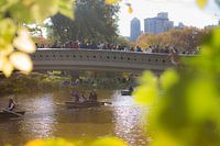 Central Park, New York