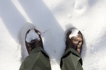 wandelen avontuur sneeuw schoenen van N. Rotteveel