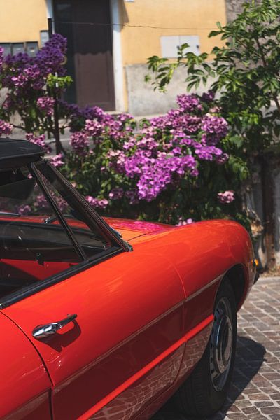 Roter Oldtimer von May Vanhille