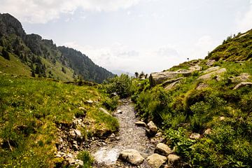 Een bergbeekje in de Dolomieten bij Madonna di Campiglio