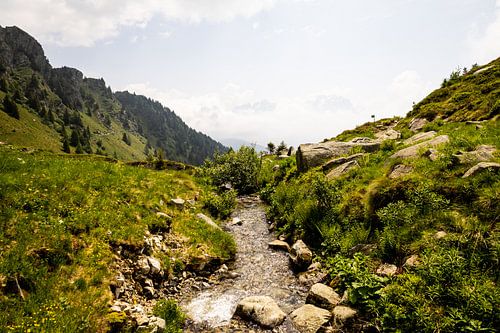 Een bergbeekje in de Dolomieten bij Madonna di Campiglio