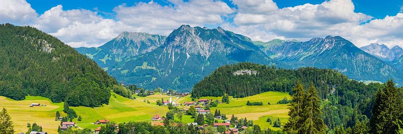 Tiefenbach en Allgäuer Alpen van Walter G. Allgöwer