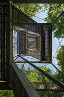 Uitkijktoren in een Drents bos nabij Exloo