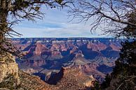 Grand Canyon, Arizona, Amerika von Discover Dutch Nature Miniaturansicht