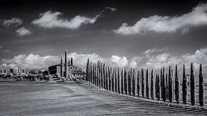 Poggio Covili - Tuscany - 4 - infrared black and white