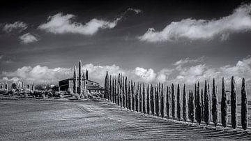 Poggio Covili - Toscane - 4 - infrarood zwartwit van Teun Ruijters