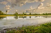 Leersumse Veld