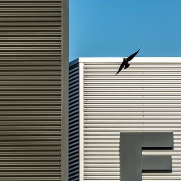Industriele vogelvlucht van Hans Kwaspen