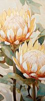 Zwei elegante Proteas