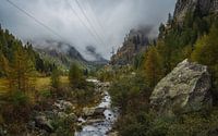 Herfst in Karinthië - Oostenrijk van Mart Houtman thumbnail