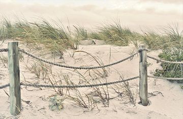 Zandduinen met staande haver van Werner Lehmann